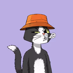 Mars Cat #456