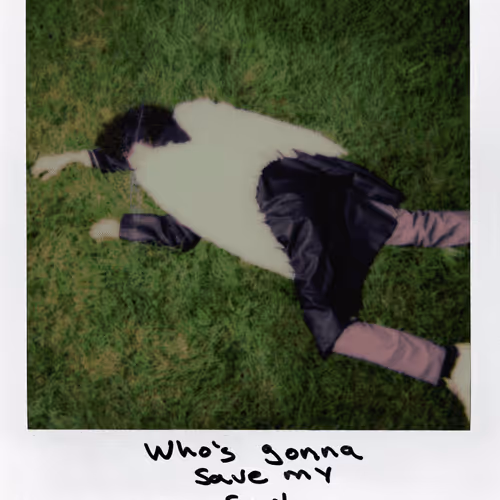 Windows Polaroids - old