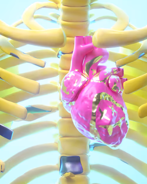 Item #5200080011 Media