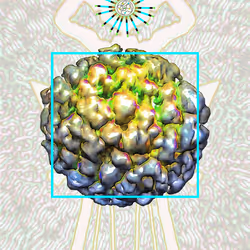 2097161