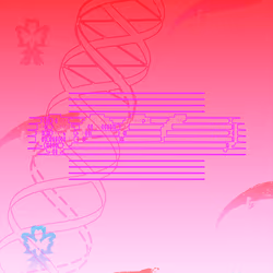 285938