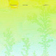 2349386