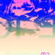 4888886