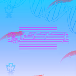 2386686