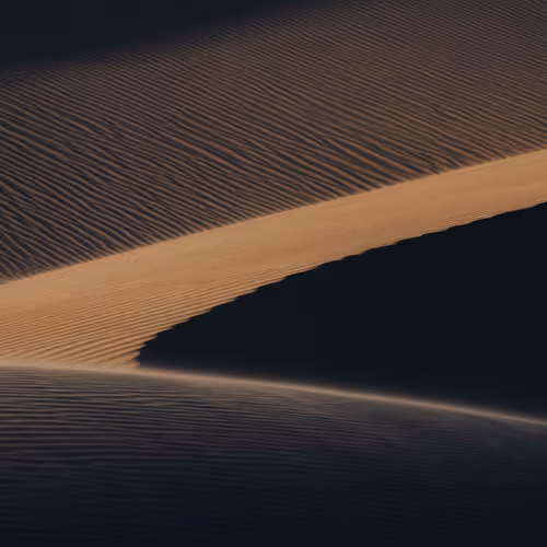 Dune Reveries