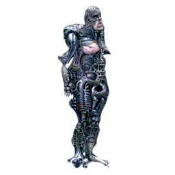 Item #11000354 Media