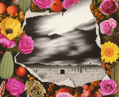 Item #23000353 Media