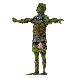 Item #11000181 Media