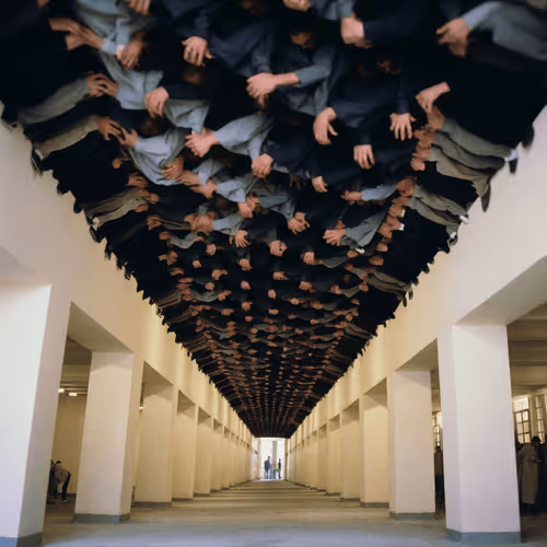 Item #34000488 Media