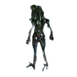 Item #11000485 Media