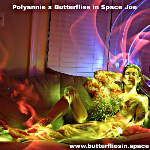 PolyAnnie  Butterflies in Space Joe 1