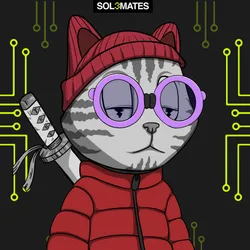 2504