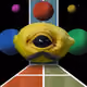 7955