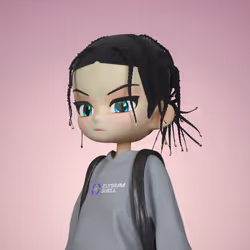 E-Shell #8079