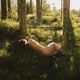 Forest Mavka