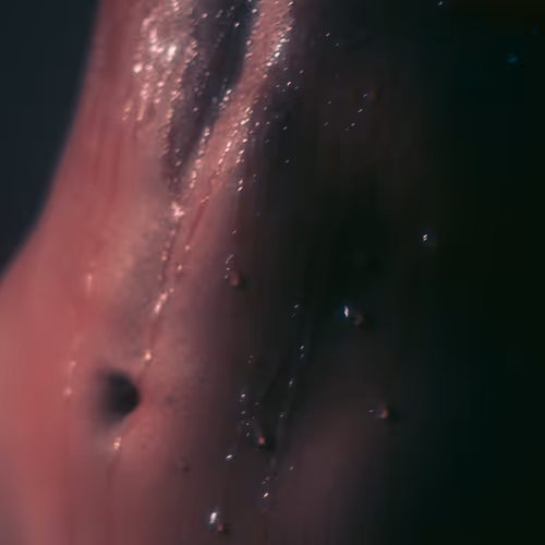 BODY - W3T8aAAZcL