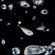 Mold