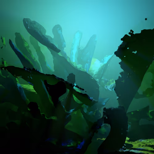 Item #8520038953287439433536834341059117372268365319568716555346026339118809853400 Media