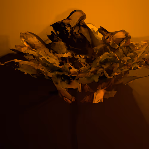 Item #8520038953287439433536834341059117372268365319568716555346026339118809853383 Media