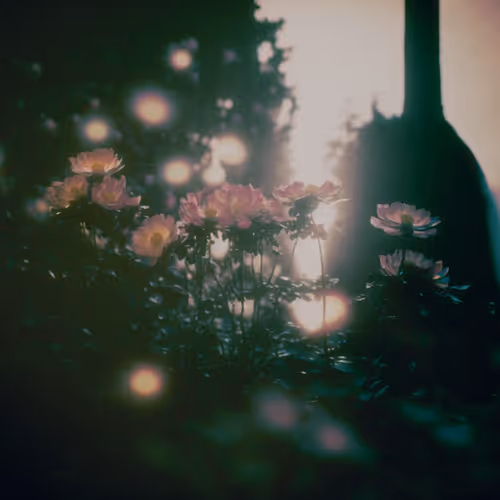 Flowers in Time