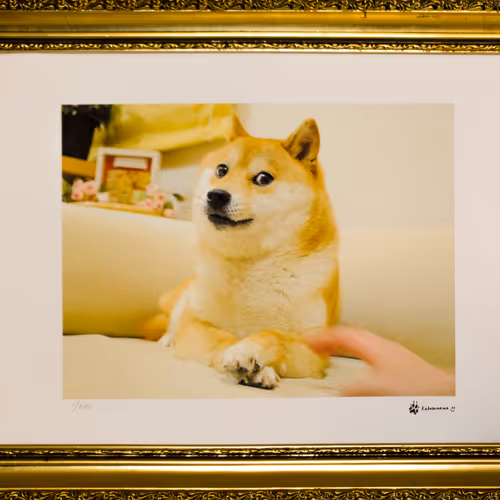 FIRST OFFICIAL DOGE PRINT