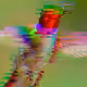 ETHEREAL TURBULENCE: THE GLITCHED HUMMINGBIRD