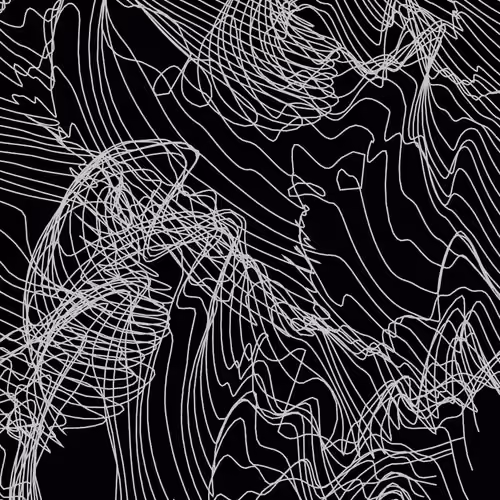 Animated Lines Series