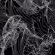 Animated Lines Series