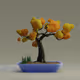 Bonsai #5316