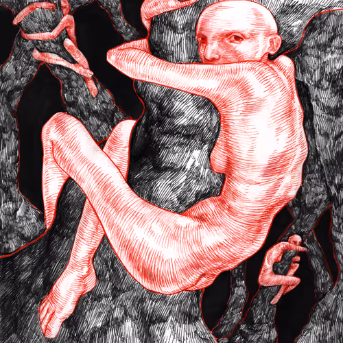 silent dream