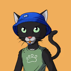 Master Cats #4213