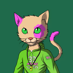 Master Cats #1142