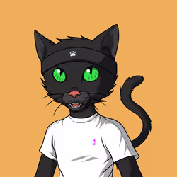 Master Cats #982