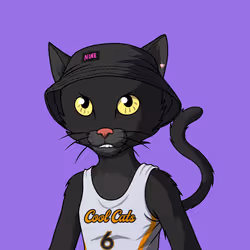 Master Cats #4742