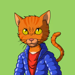 Master Cats #7135