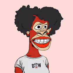 8081