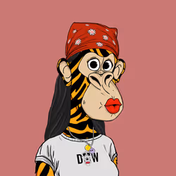 9559