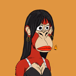 4806