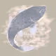 Generative patterns "NISHIKIGOI" #9589
