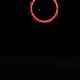 1138