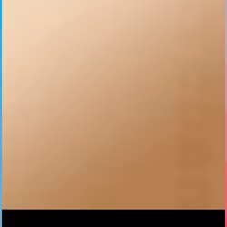 项目媒体占位符