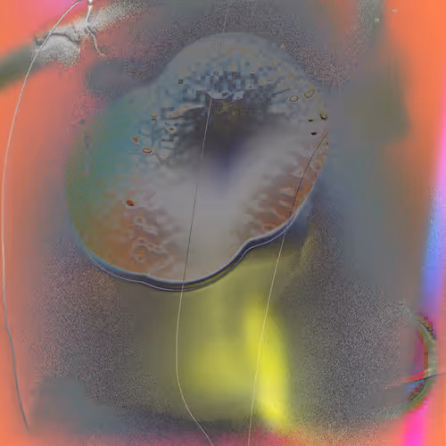 53