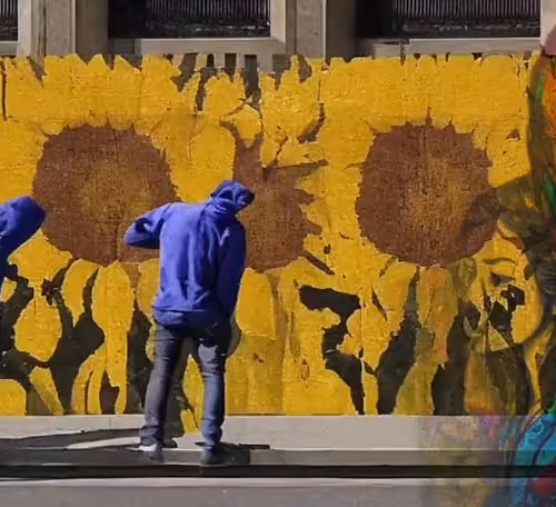 Sunflowers Over Politics