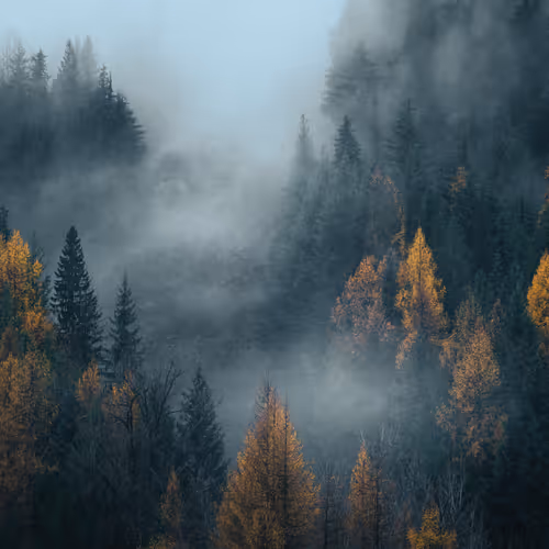 Moods - HXxC58VqF2