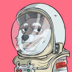 9949