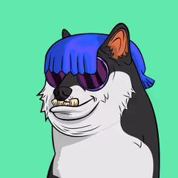 6579