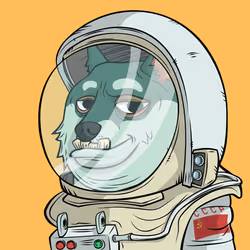 5464