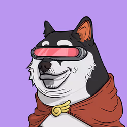 509