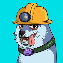 9244