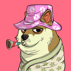 4558